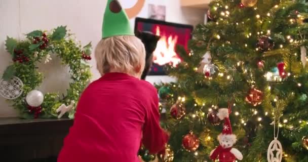 Netter Junge schmückt Weihnachtsbaum zu Hause und bereitet sich auf die Winterferien vor — Stockvideo