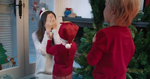 Playful family together installing and decorating Christmas tree — Stok video
