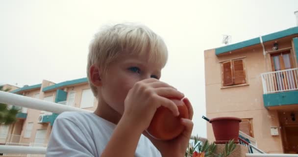 Niño lindo bebiendo jugo de tomate orgánico de vidrio al aire libre — Vídeo de stock