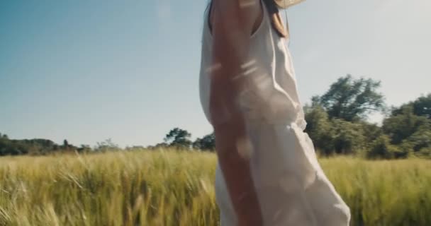 Inspired Romantic Young Adult Woman Walk Agricultural Field Girl Touch — Stock Video