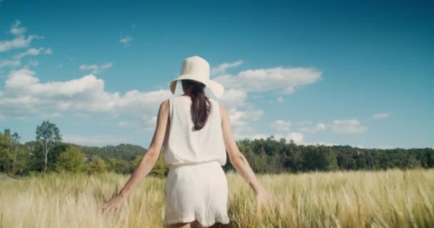 Inspiré Romantique Jeune Femme Adulte Toucher Récolte Seigle Prairie Belle — Video