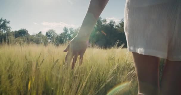 Inspirovaná Šťastná Dívka Kráčí Pšeničném Poli Zblízka Mladá Dospělá Žena — Stock video