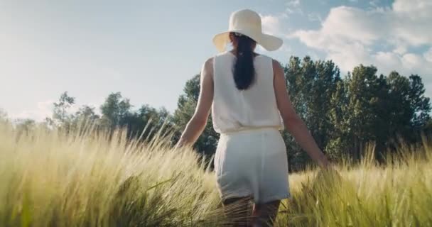 Inspirado Feliz Mujer Adulta Joven Caminar Través Trigo Campo Cereales — Vídeos de Stock