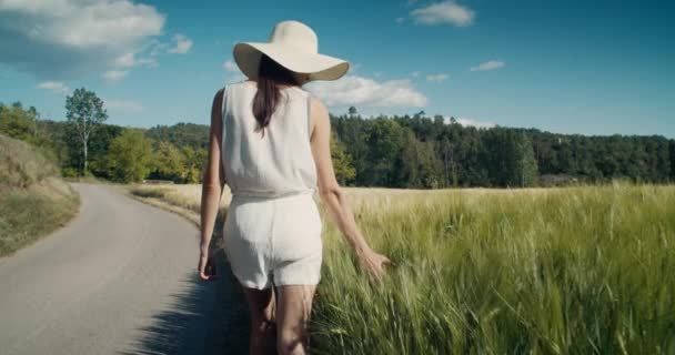 有灵感的年轻成年女子走在乡间小径上 摸着黑麦收获 无忧无虑的快乐女孩在夏天的旅程中沿着麦田或农田散步 暑期到村子旅游的概念 — 图库视频影像