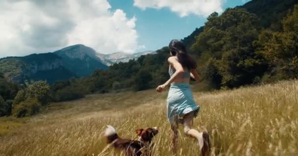 兴奋而无忧无虑的年轻成年女子与边境犬一起在山地草地上奔跑 在暑假和家养动物一起远足的快乐女孩受到了启发 生活方式旅行的女性旅行者 — 图库视频影像