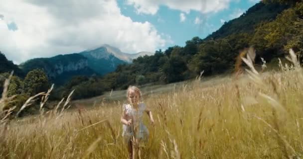 Ευτυχισμένη Παιδική Ηλικία Στο Ταξίδι Στο Βουνό Και Την Ύπαιθρο — Αρχείο Βίντεο