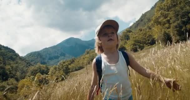 Szczęśliwy Chłopiec Spaceruje Łące Górach Beztroska Wędrówka Dziecka Przez Wysoką — Wideo stockowe