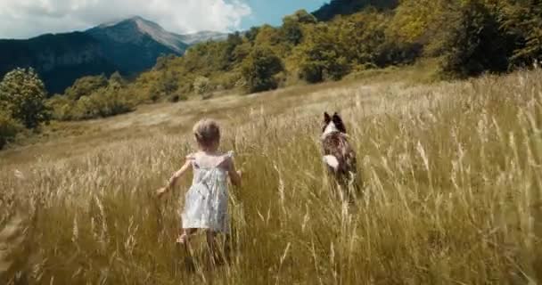 暑假时 无忧无虑的小女孩和边境牧羊犬一起跑到山里的草地上 灵感镜头让孩子们在户外的自然景观上享受积极的生活方式 人与动物的友谊 — 图库视频影像