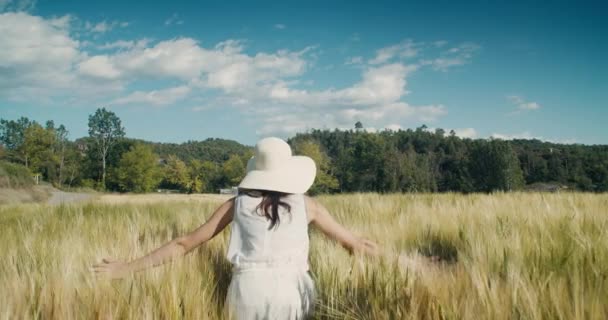 受到启发的浪漫的年轻成年女子走在麦田里摸庄稼 在乡村的夏天旅行中 无忧无虑的迷人女人 积极的生活方式和游手好闲 — 图库视频影像