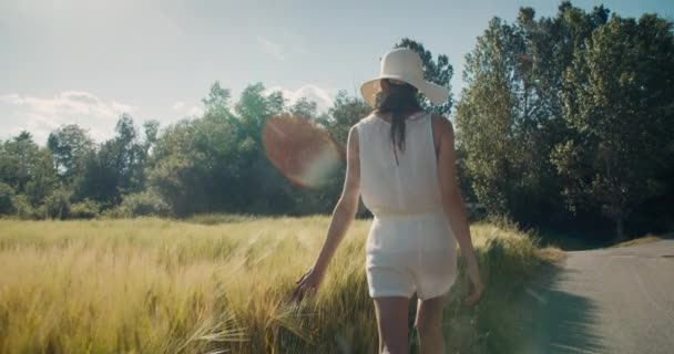 女旅行家沿着麦田走在空旷的路上 摸着黑麦收获 受到启发的女人在度假时喜欢在乡村环境中度过夏天 探索世界与自然 — 图库视频影像