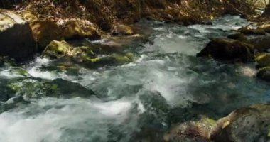 Dağ nehrinin kayalıklardaki saf suları. Nehrin güzel doğal manzarası. Ormanda doğal şelale