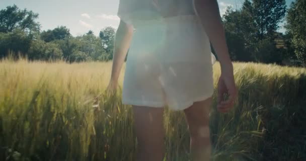 受到启发的女性旅行者走在乡村道路上 触摸收获 年轻女子在夏天的探险旅程中 带着种植的小麦沿着农田的草地散步 农村环境和流浪欲望 — 图库视频影像