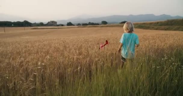 Child Play Toy Airplane Wheat Field Sunset Countryside Carefree Children — Stock Video