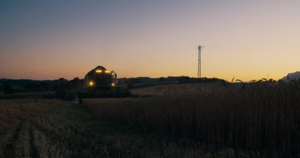 Harvester Combine Sunset Headlight Harvesting Wheat Agricultural Field Farmer Harvesting — Stock Video
