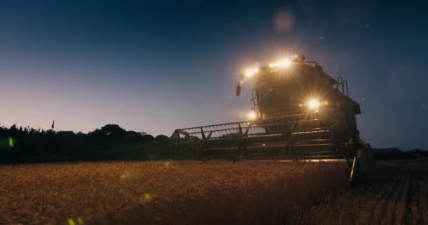 Harvester Combine Working Night Late Evening Using Headlight Farmer Harvesting — Stockvideo