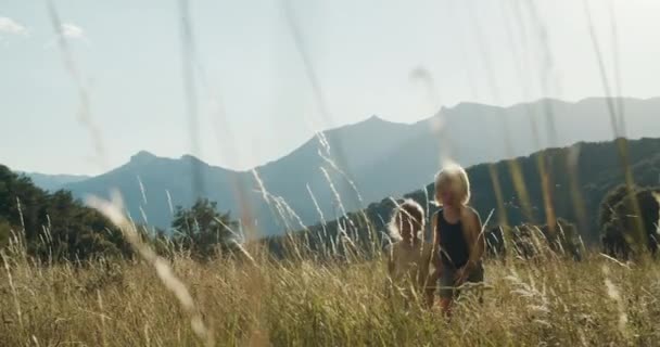 Çocuklar Yaz Tatili Gezisinde Birlikte Dağ Sahasında Yürürler Erkek Kız — Stok video