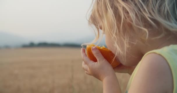 Closeup Cute Toddler Girl Portrait Eat Orange Outdoors Agricultural Field — Stock video