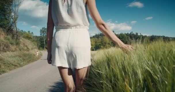 Medium Shot Romantic Inspired Woman Walk Country Road Touch Wheat — стоковое видео