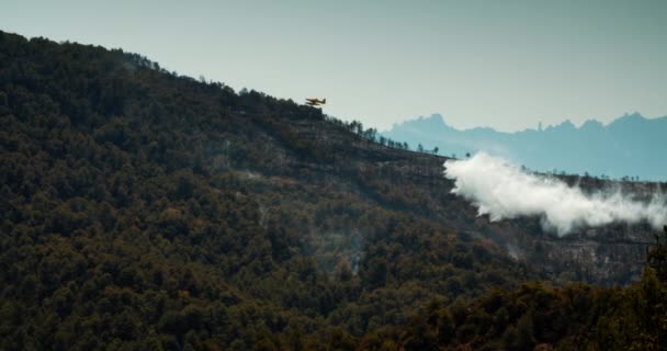 Samolot Strażacki Zrzuca Wodę Lasu Górach Dymem Wildfire Lato Parku — Wideo stockowe