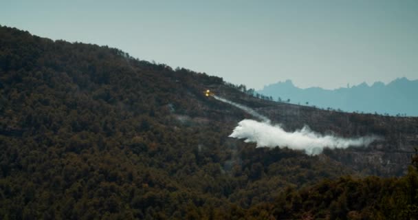 Hasičské Letadlo Uhasí Požár Který Odnese Vodu Horského Lesa Změna — Stock video