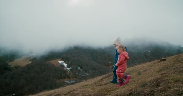 Çocuk Ele Tutuşup Tatil Için Dağ Yamacından Aşağı Iniyor Erkek — Stok video