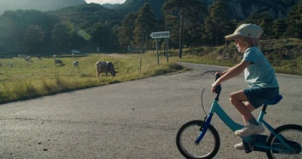 Child Boy Cycling Bike Country Empty Road Mountain Meadow Grazing — Stock Video