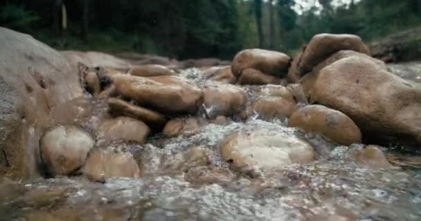 Calm Scenery Flowing Water Mountain Branch Creek Rounded Stones Clean — Video Stock