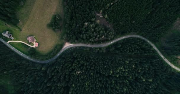 Mountain Road Aerial Top View Drone Driving Car Pine Trees — Stock video