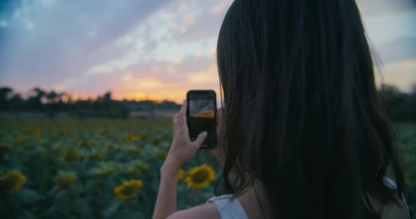 Mujer Joven Creativa Desde Atrás Haciendo Fotos Videos Usando Teléfono — Vídeo de stock