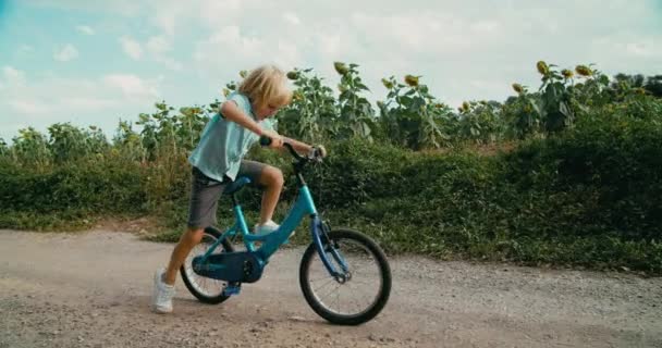 Cheerful Children Cycling Bike Countryside Road Sunflower Meadow Summer Vacation — Stockvideo