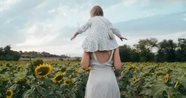 Relaxed Cheerful Young Adult Woman Walk Sunflower Field Holding Little — Stockvideo