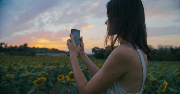 Beautiful Inspired Woman Taking Photo Video Sunflower Meadow Using Mobile — Stock video