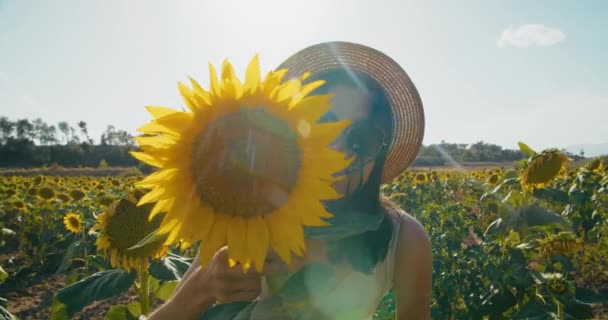 Funny Beautiful Girl Hides Peeking Out Sunflower Summer Vacation Travel — Stock videók