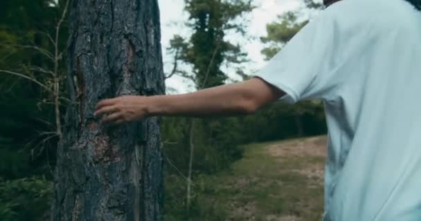 Handheld Shot Young Adult Woman Hand Closeup Touching Sliding Pine — Stok video
