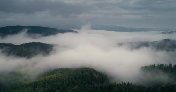 Воздушный Вид Красивой Природы Беспилотник Летает Над Горным Лесом Низкими — стоковое видео