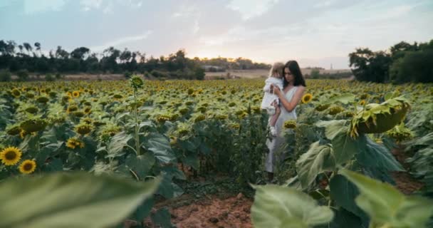 Female Traveler Walk Sunflower Meadow Holding Daughter Hands Beautiful Young — Stok video