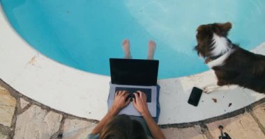 Top view freelance man on summer vacation travel sitting aside the swimming pool with border collie puppy dog and using laptop computer. Unrecognizable person working on distant using technology