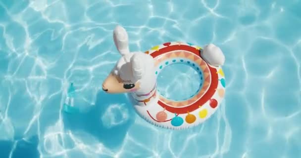 Concept Summer Vacation Holiday Travel Inflatable Lama Floating Blue Swimming — Stock Video