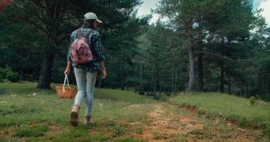 Traveler female with backpack hike on forest path holding basket for collecting mushroom on autumn travel. Handheld following footage of young adult woman on nature trail