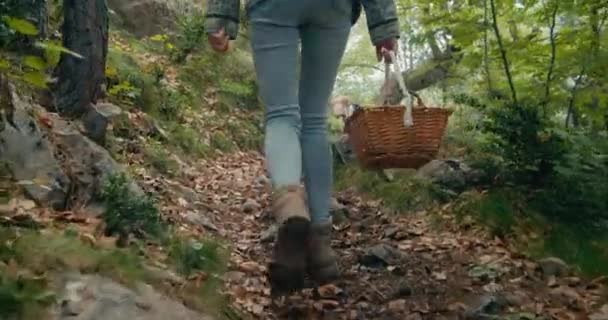 Handheld Low Angle Camera Follows Woman Forest Path Holding Basket — 비디오