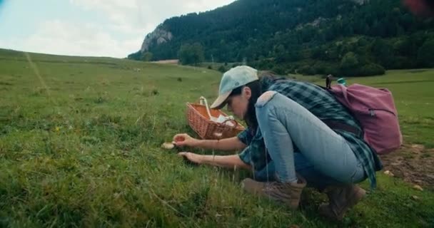 年轻的成年女子在远足途中冒险在高山草甸采摘蘑菇 女游客走在旅游小径上 秋假采集真菌 — 图库视频影像