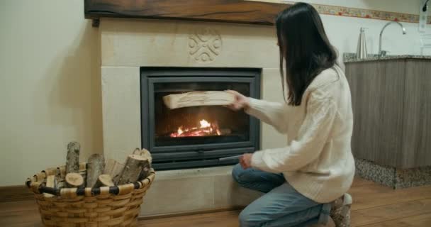 Young Adult Woman Winter Vacation Adding Firewood Fireplace Beautiful Girl — Stock Video