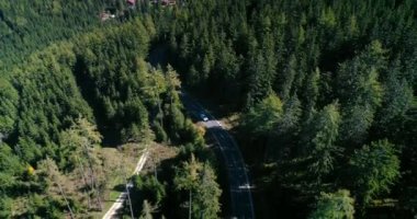 Ormanlık alanda yolculuk yapan beyaz aracın hava görüntüsü. Dağ yolunda bir arabayı takip eden İHA.. 