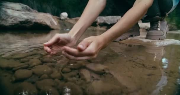 Γυναίκα Χέρια Closeup Στο Ορεινό Μονοπάτι Πεζοπορία Καλοκαίρι Ταξίδια Συλλογής — Αρχείο Βίντεο