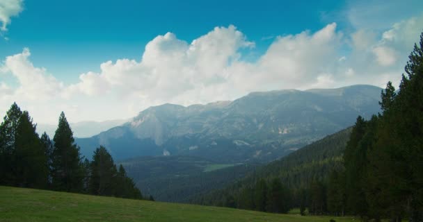 Gyönyörű Nyugodt Este Hegyi Réten Fenyőfák Között Erdei Felhők Mozognak — Stock videók