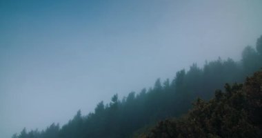 Kameranın hareket yönü dağ ormanları manzarası ve sabah sisli.. 