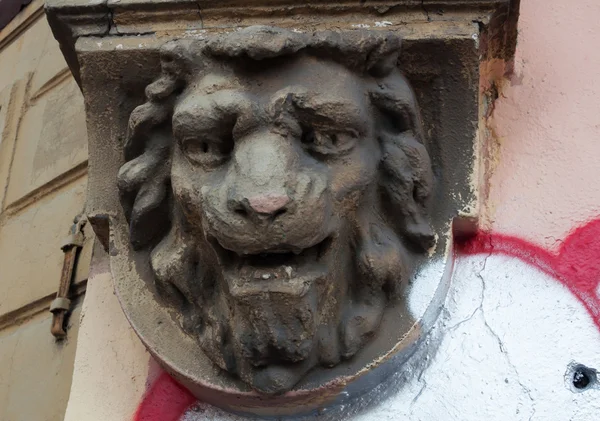Dekorativní prvek, Lví hlava — Stock fotografie