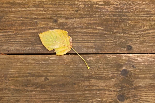 Gelbes Herbstblatt auf einem Hintergrund aus Holzbank — Stockfoto