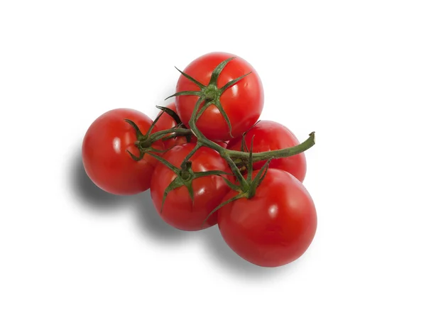 Red ripe tomatoes on branch — Stock Photo, Image