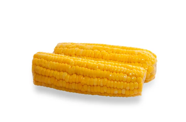 Két érett fül kukorica — Stock Fotó